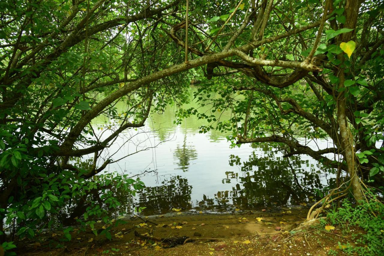 Lake N River Resort Munroe Island Mundrothuruth Luaran gambar